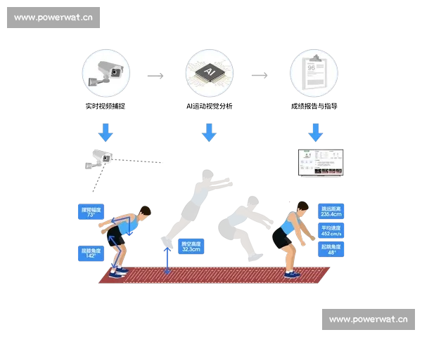 体育比赛规则适用于哪些项目及其具体应用分析